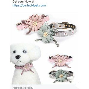 lovely flower dog collar